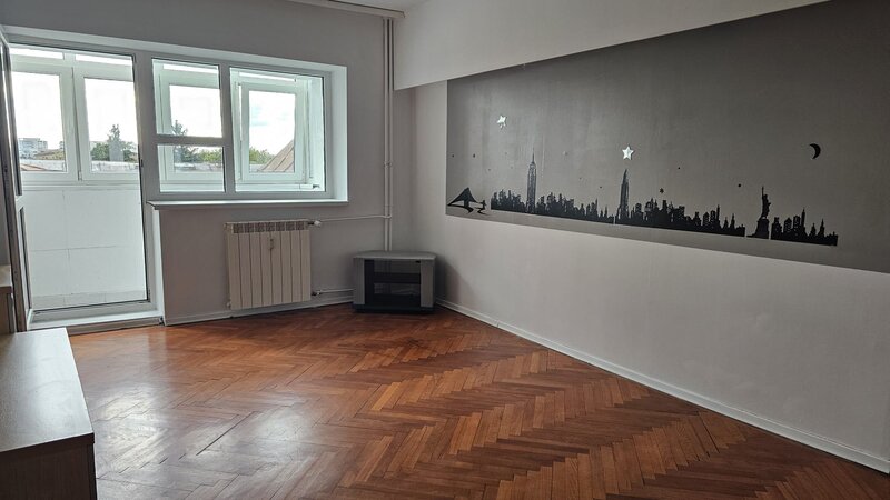 ION MIHALACHE- Domenii