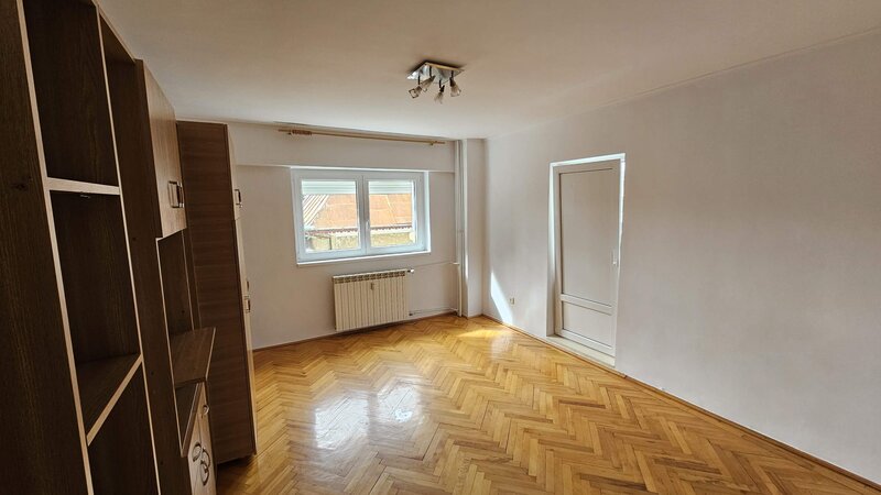 Ion Mihalache, Domenii,