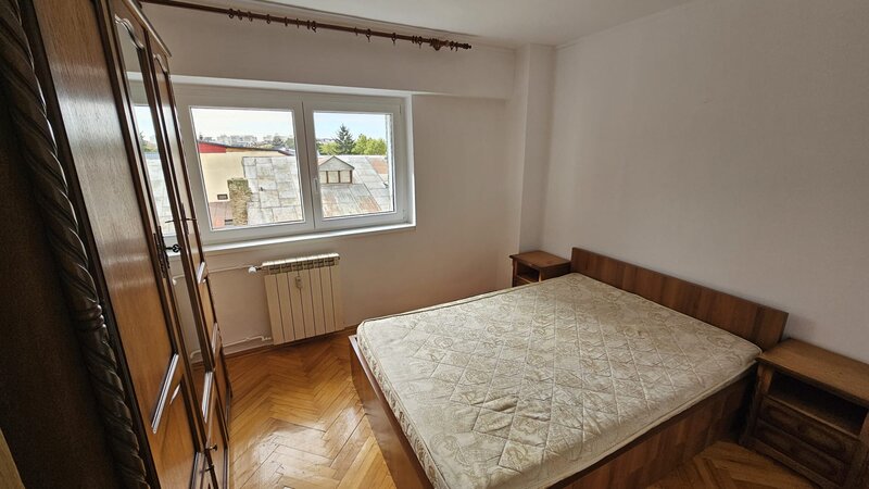 Ion Mihalache, Domenii,