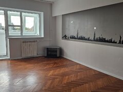 ION MIHALACHE- Domenii